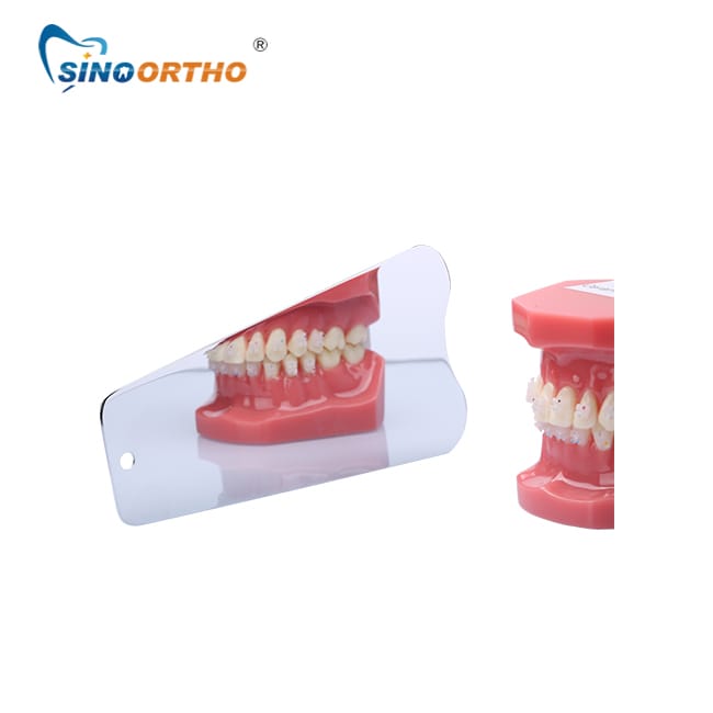 SINO ORTHO Photographic Mirrors Occlusal DM01-01 – Sino Ortho Limited, Explorers