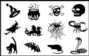 Orthocryl Decal Biber