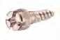 OrthoEasy Abutments