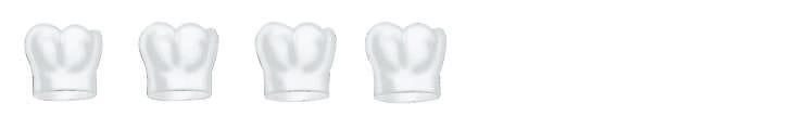 Strip Crown 463 – Frasaco, Temporary Crowns