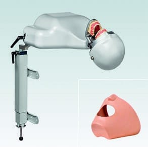P-6/5 TL OM Torso Large P-6/5 mit Modell