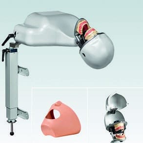 PK-2 TL OM Torso-Tischeinheit PK-2 (ohne Modell)