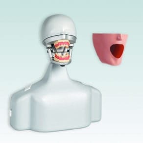 P-6/3 TSE OM Ensemble Tête Fantôme Standard Édition Étudiante sans Modèle – Frasaco, Equipment