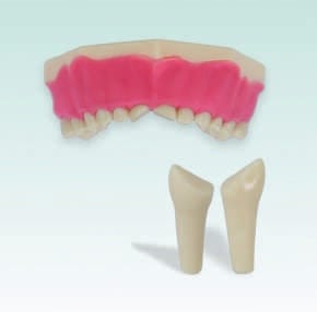 AK-6/2 ZP51/61 99-002 Préparation Dent de Lait – Frasaco, Gypsum Additives, Die Hardeners and Plaster Removers