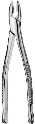 1 Forceps Standard, Incisives et Canines Supérieures