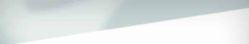 TEETHMATE DESENSITIZER Applikationspinsel (50 Stück)