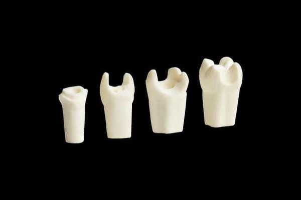 Replacement Teeth for NA 305 Prosthetic Dental Model with Prepared Teeth for Buildups and Post-and-Core Restorations