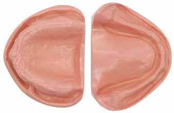 Prosthesis Edentulous Model
