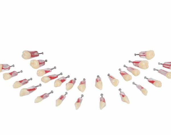 Replacement Teeth for Navadha Endo Jaw Set