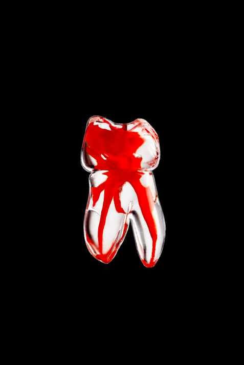 Endo-Zähne mit farbigem Wurzelkanal (Zahnnr. 1.6/16) – Navadha Enterprises, Gipszusätze, Stumpflacke und Gipslöser