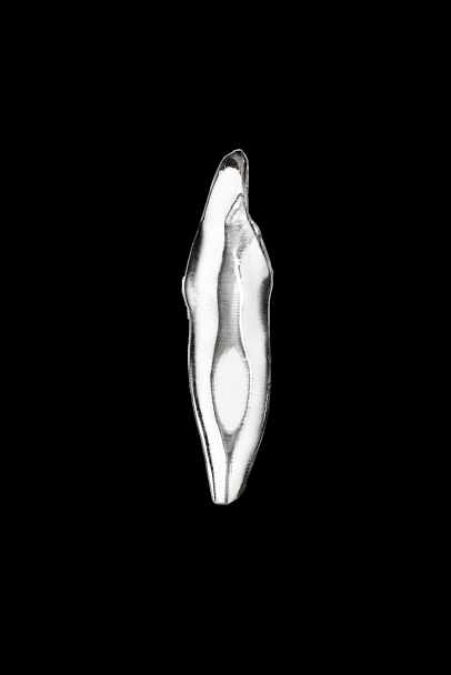 Dents endodontiques à canal radiculaire transparent (11/31/14/16/46)