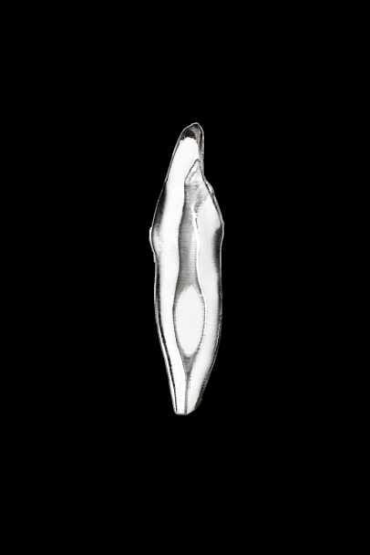 Endo Teeth with a Clear Root Canal (11/31/14/16/46)