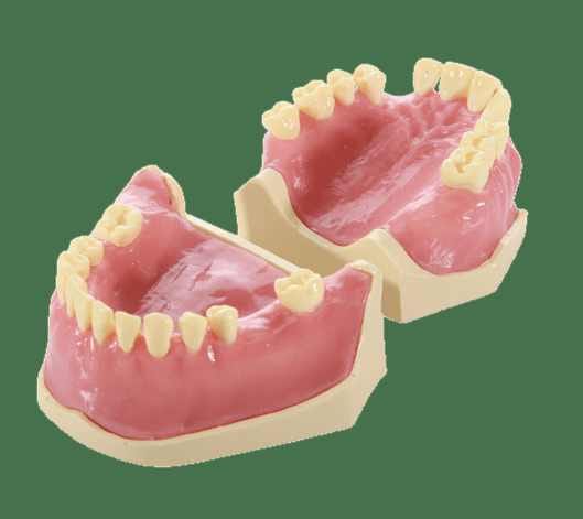 Surgery Practice Jaws