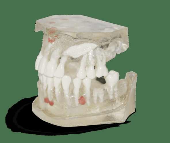 Surgery Practice Model Guide