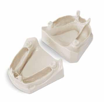 Jaws with Facility to Insert Extracted Natural Tooth – Navadha Enterprises, Articulators and Accessories