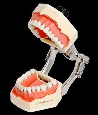 Articulateur magnétique réglable – Navadha Enterprises, Articulators and Accessories