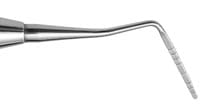 Sonde parodontale CP10