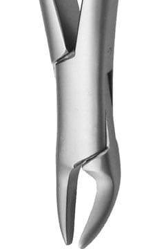 Stieglitz Root Forceps Curved