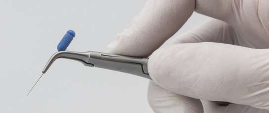 Endozange