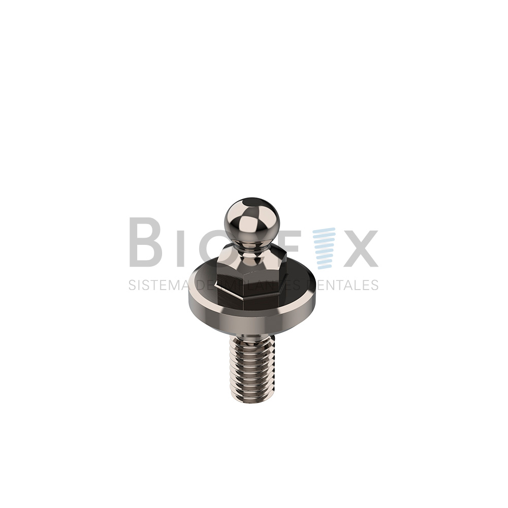 Ball Attached con Cazoleta y O-Ring