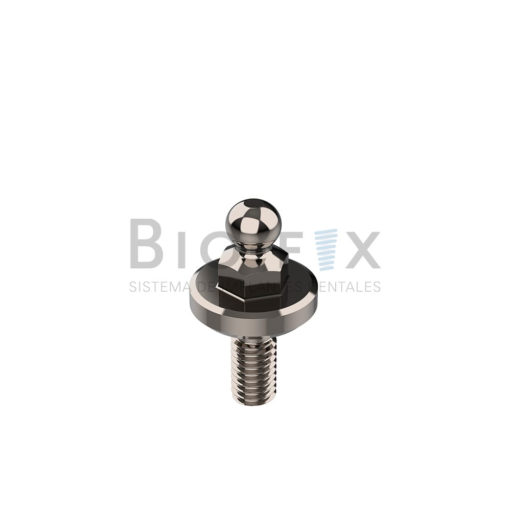 Ball Attached con Cazoleta y O-Ring – Grado Cuatro S.R.L, Other