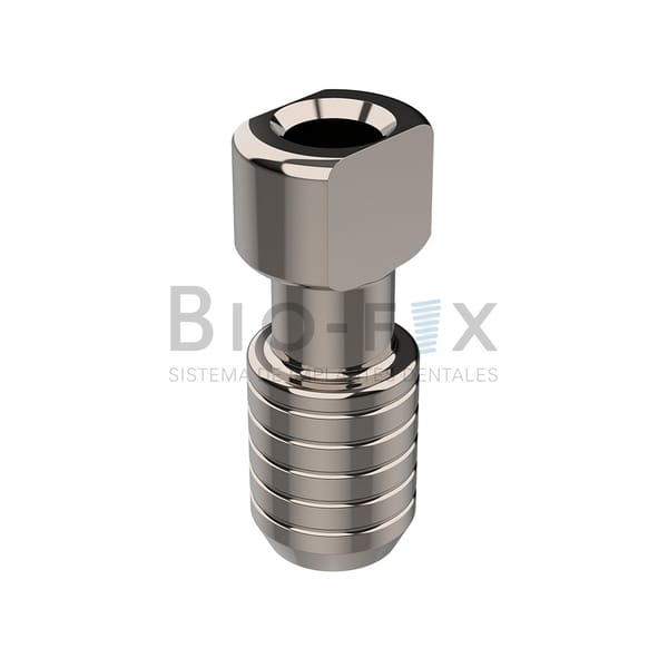 Abutment and Screw HE-08