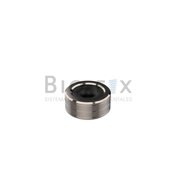 Cazoleta y O-Ring
