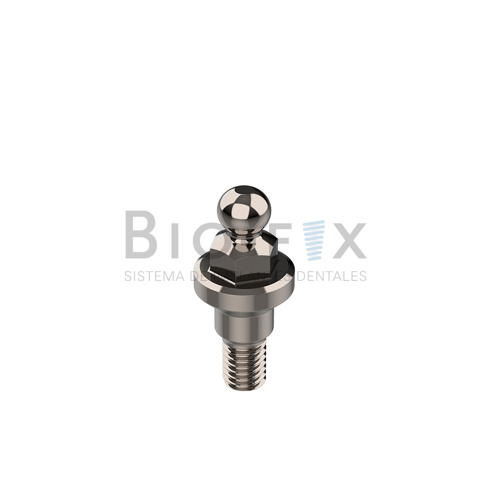 Ball attached y Cazoleta c/o-ring