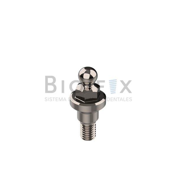 Ball attached y Cazoleta c/o-ring