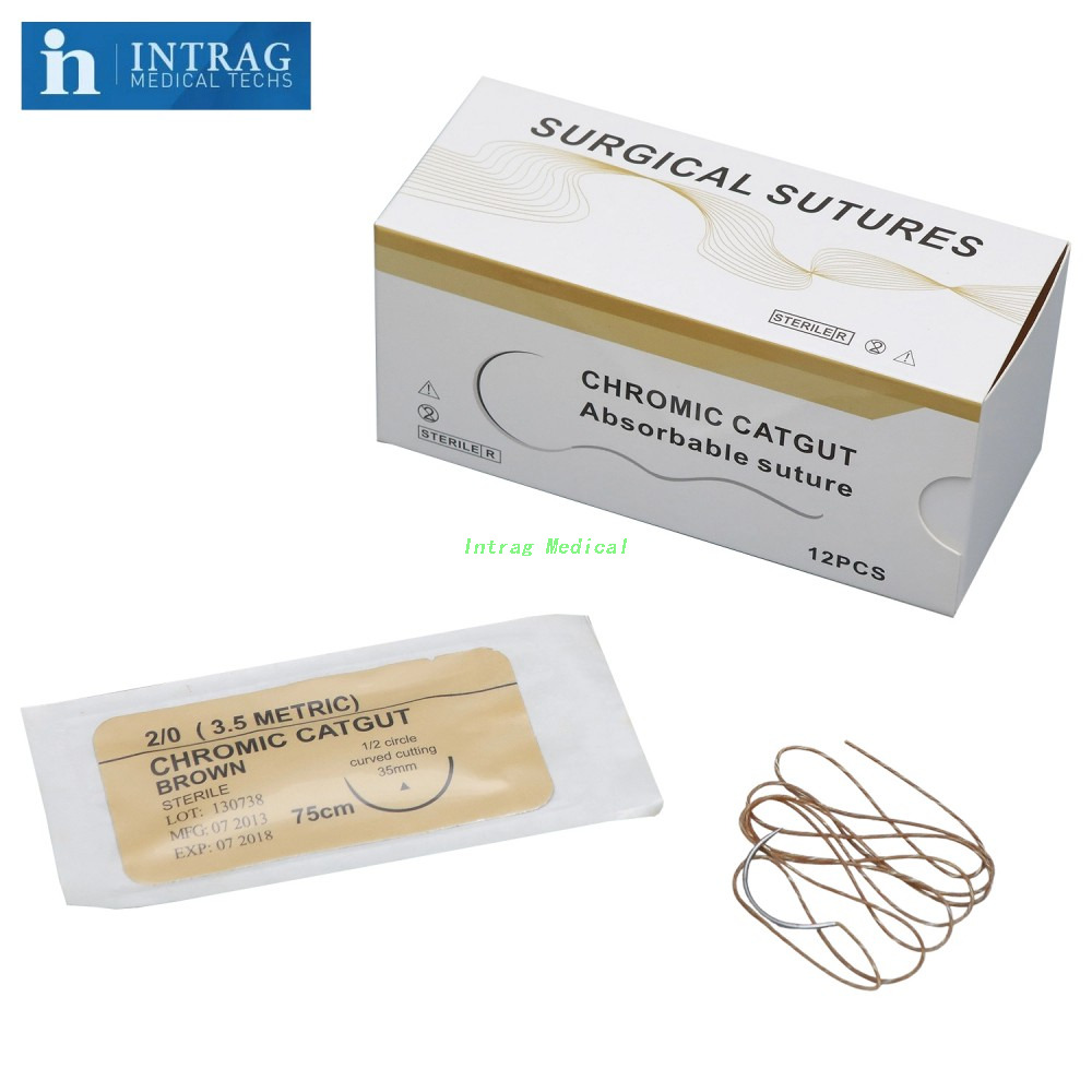 Chromic Catgut (Absorbable) Suture