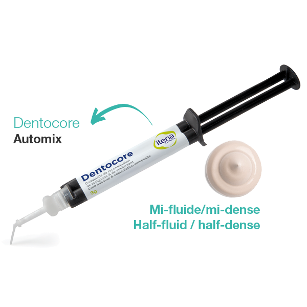 Dentocore / Dentocore Body