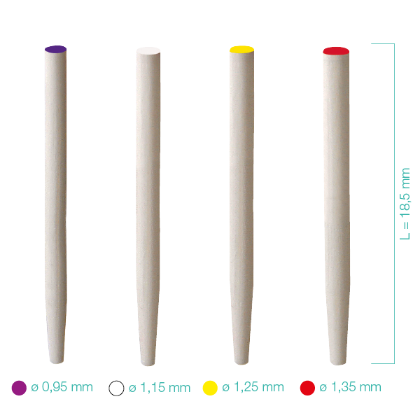 Dentoclic Espigas Fibra de vidrio