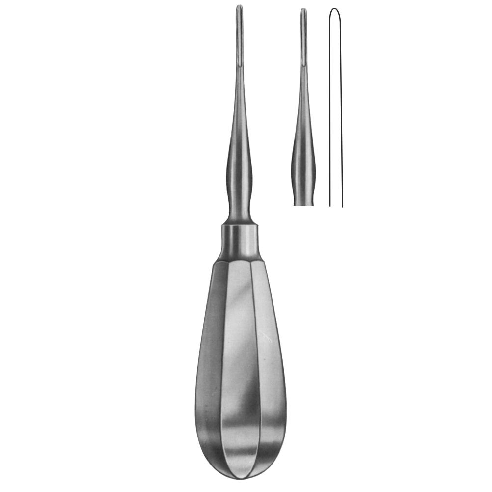 Bein Wurzelheber