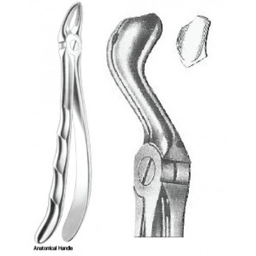 Zahnzangen Fig. 80 – J+K Chirurgische Instrumente GmbH, Extraction Forceps