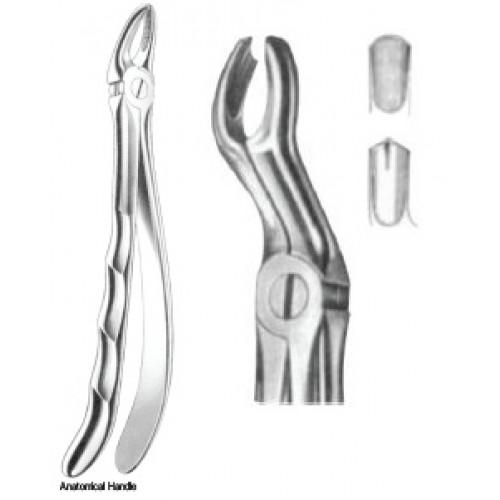 Zahnzangen Fig. 67R – J+K Chirurgische Instrumente GmbH, Extraction Forceps