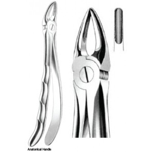 Zahnzangen Fig. 29 – J+K Chirurgische Instrumente GmbH, Extraction Forceps