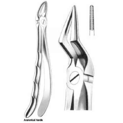Zahnzangen Fig. 51A – J+K Chirurgische Instrumente GmbH, Extraction Forceps