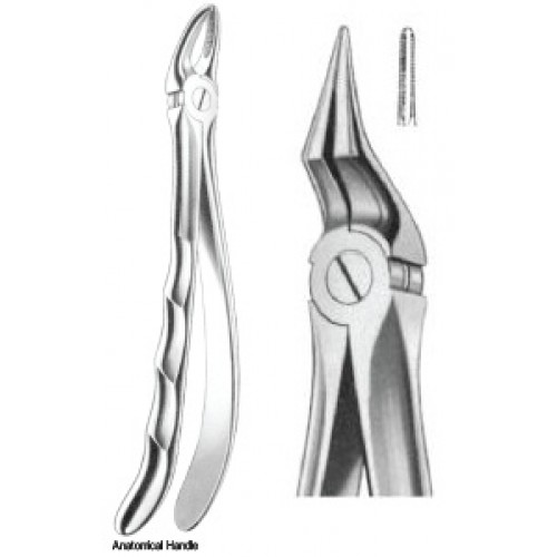 Zahnzangen Fig. 197 – J+K Chirurgische Instrumente GmbH, Extraction Forceps