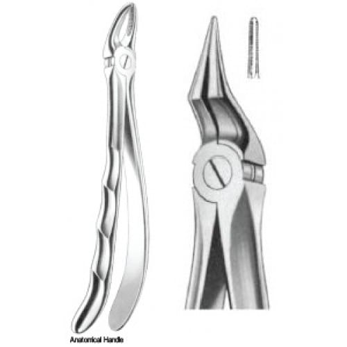 Zahnzangen Fig. 197 – J+K Chirurgische Instrumente GmbH, Extraction Forceps