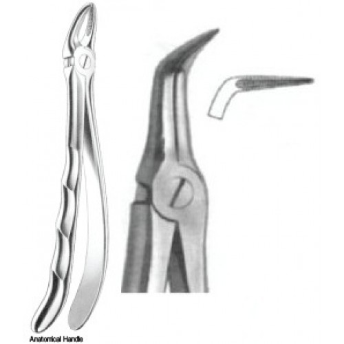 Zahnzangen Fig. 145 – J+K Chirurgische Instrumente GmbH, Extraction Forceps