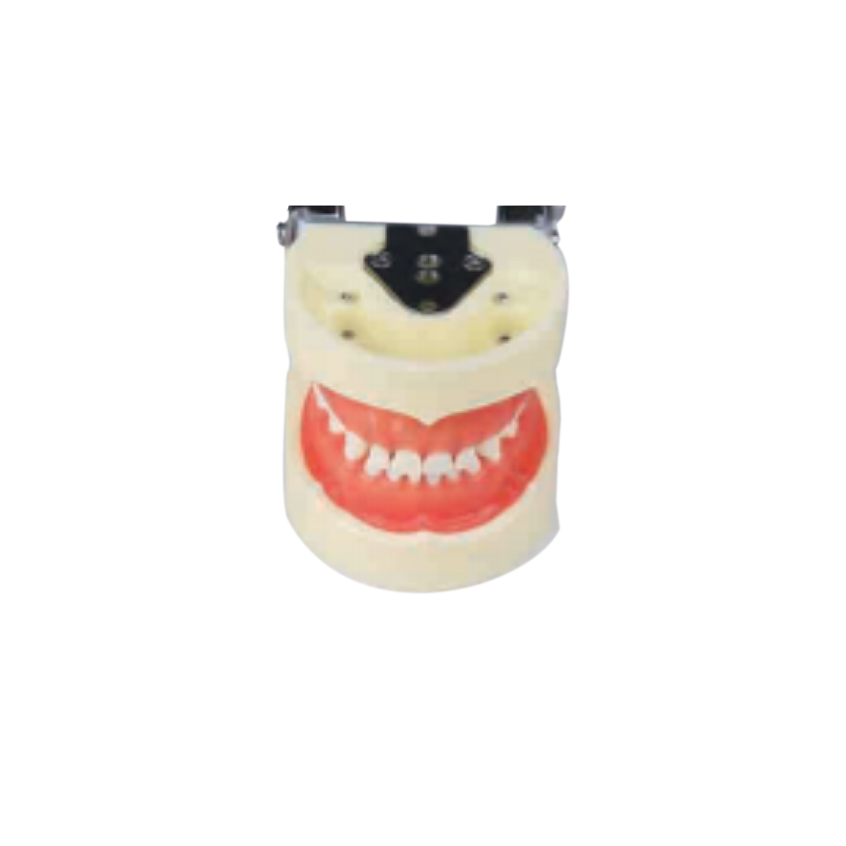 Pedodontics model JPS-PD 01 – Shanghai JPS Medical Co., Ltd.