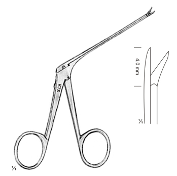 Micro-Ear Scissors