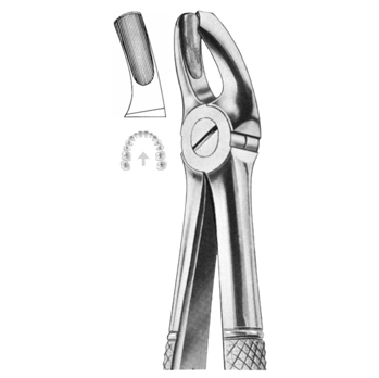 Extracting Forceps