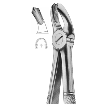 Extracting Forceps