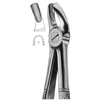 Extracting Forceps