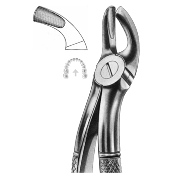 Extracting Forceps