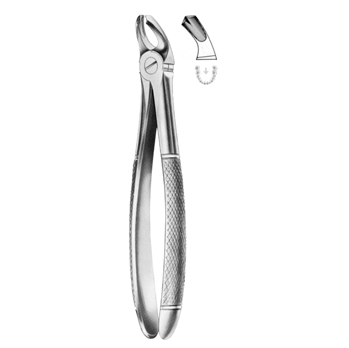 Extracting Forceps
