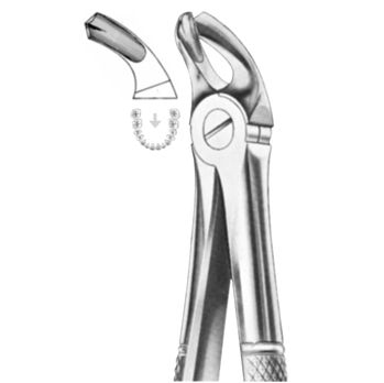 Extracting Forceps