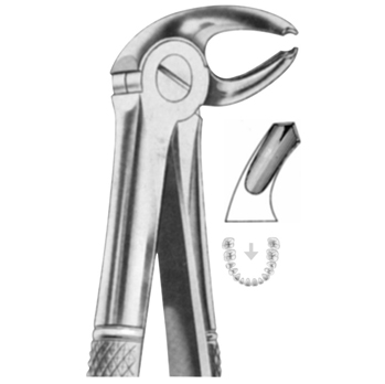 Extracting Forceps