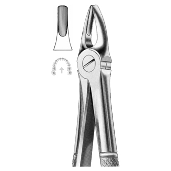 Extracting Forceps